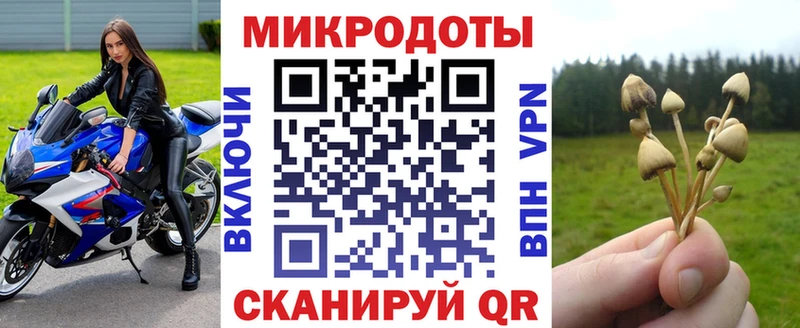 блэк спрут вход  Мыски  Галлюциногенные грибы GOLDEN TEACHER  купить закладку 